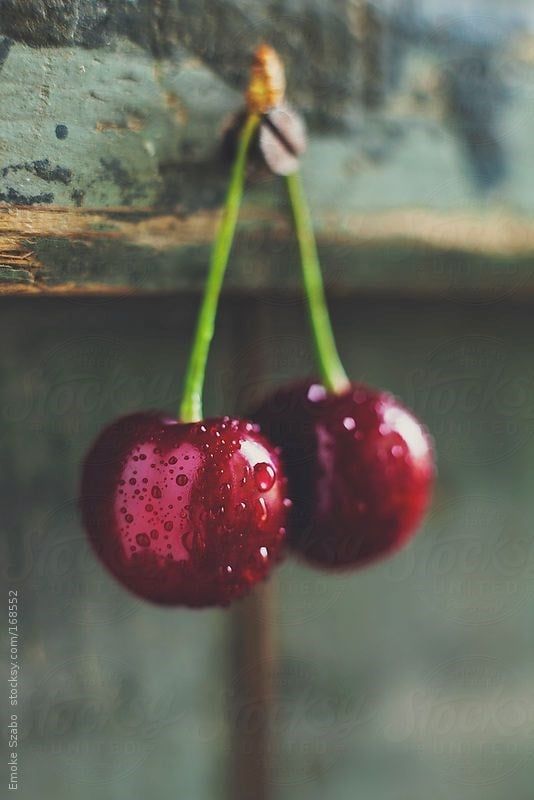 Quả Cherry Chi lê có tốt cho bà bầu không