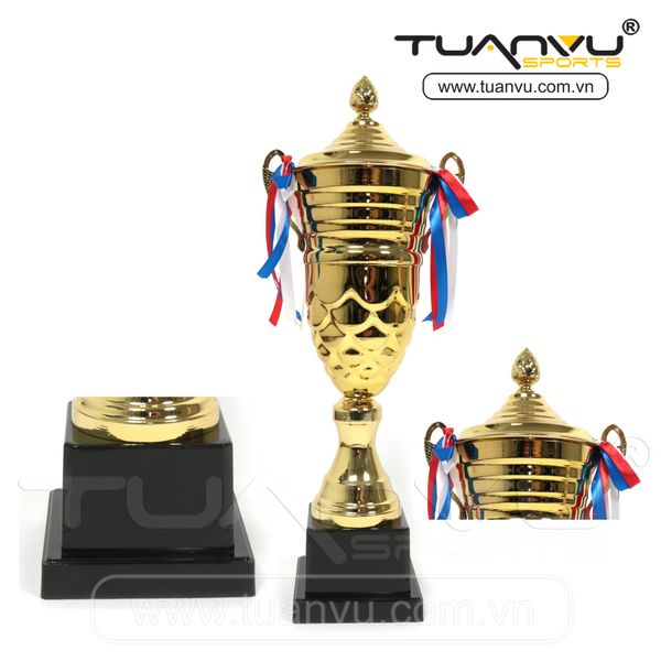 Cúp thể thao, cup the thao