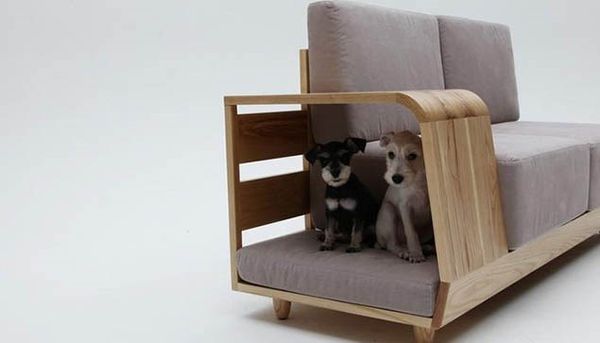 Thiết kế nội thất nhà ở thú vị cho người yêu thú cưng