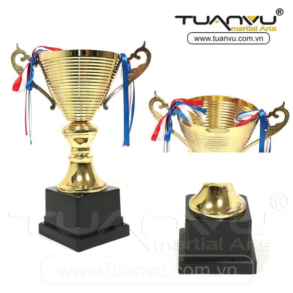 Cúp thể thao, cup the thao