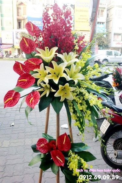 ke-hoa-tuoi-chuc-mung-khai-truong