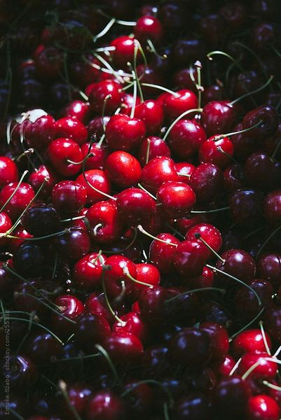 Giá quả Cherry nhập khẩu