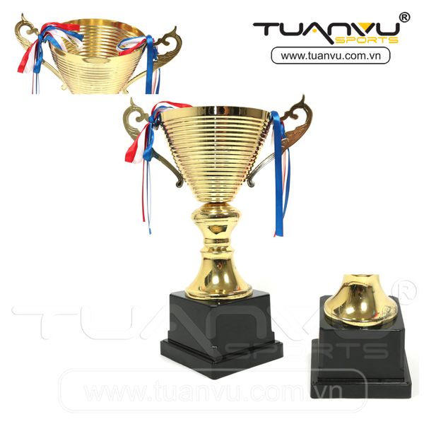 Cúp thể thao, cup the thao