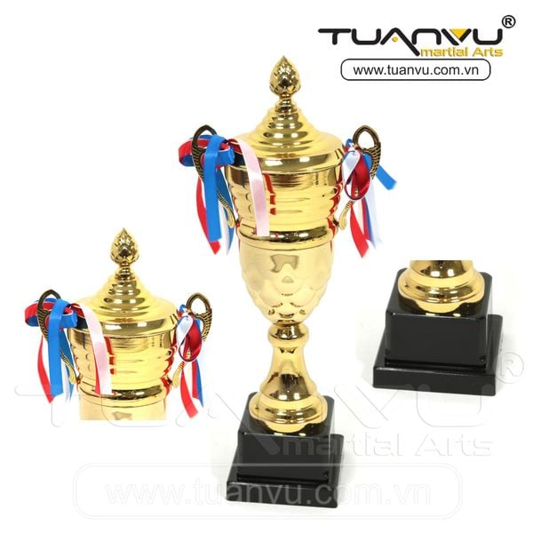 Cúp thể thao, cup the thao