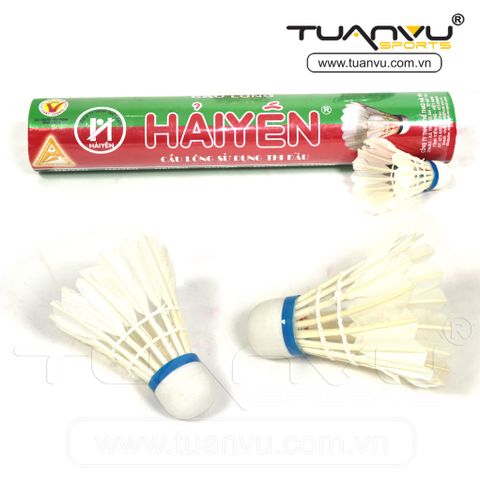 Cầu lông Hải Yến, cau long hai yen, quả cầu lông, qua cau long