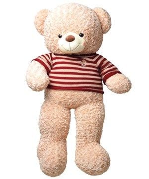 Gấu bông teddy 50cm