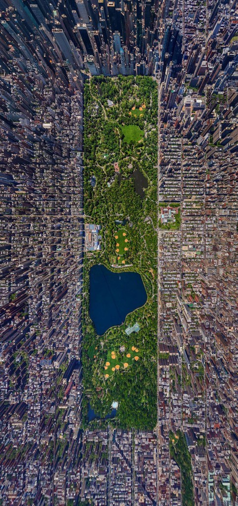 Central park, newyork