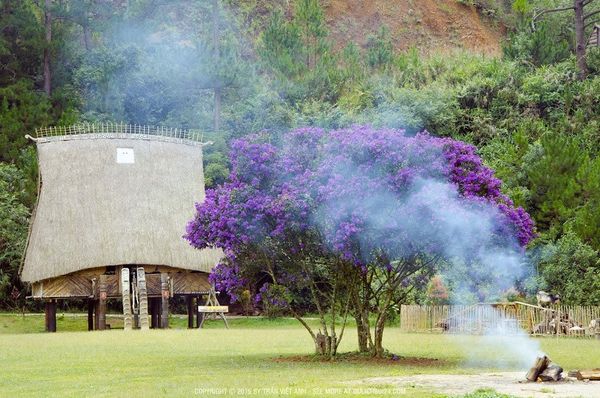 Đà lạt - nơi dù đã từng đến tôi vẫn muốn quay lại!
