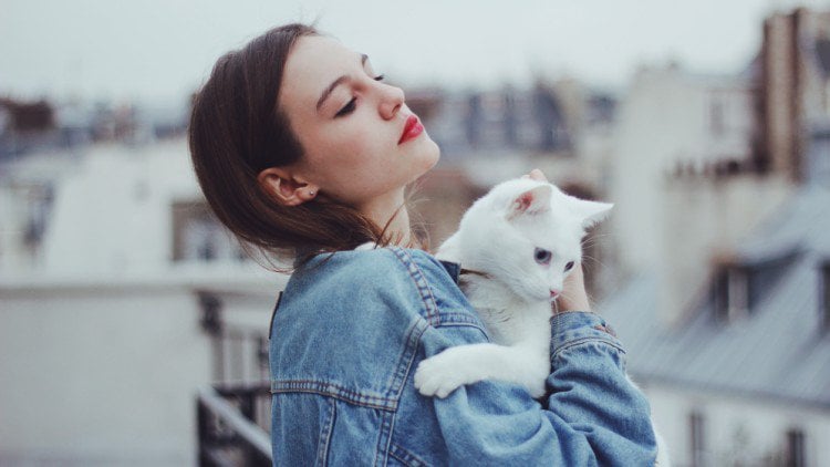 Vì sao nên yêu một cô gái thích mèo?