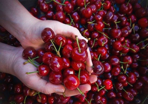 Quả cherry Chi lê bao nhiêu tiền 1kg