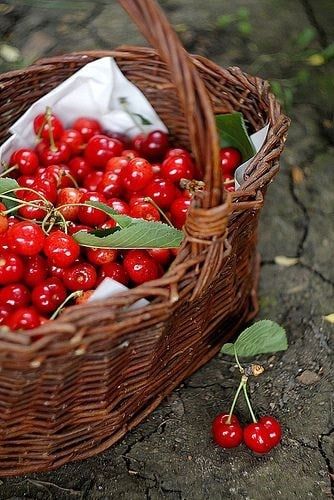 Ăn nhiều quả cherry có tốt không