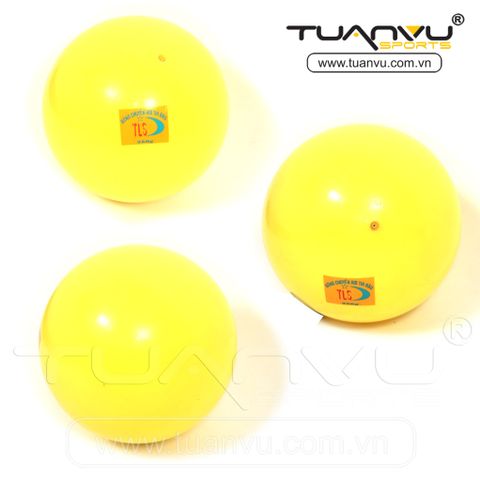 bóng chuyền hơi, bong chuyen hoi, bóng chuyền, bong chuyen