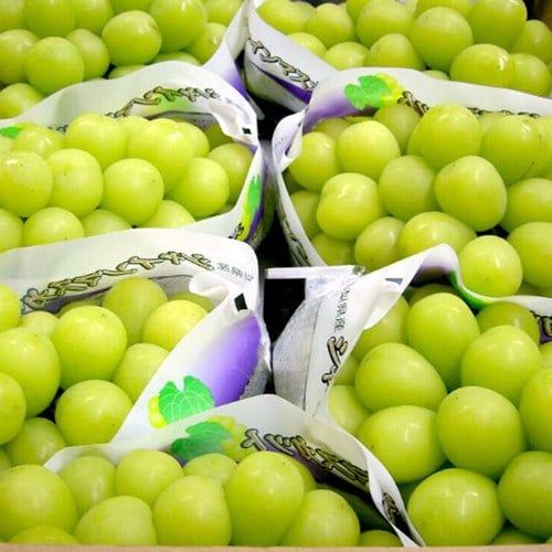 Cửa hàng trái cây nhập khẩu nào bán nho mẫu đơn?
